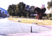 yahata_1.gif (40563 バイト)